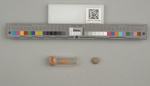 NSF ADBC EPICC TCN