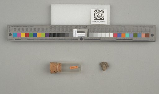 NSF ADBC EPICC TCN