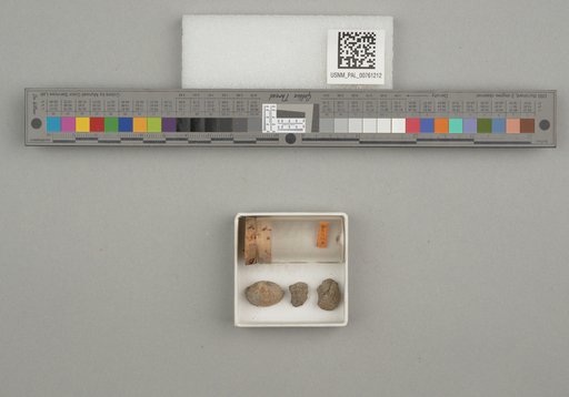 NSF ADBC EPICC TCN