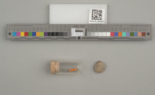 NSF ADBC EPICC TCN