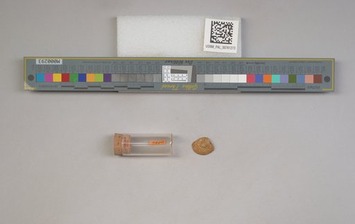 NSF ADBC EPICC TCN