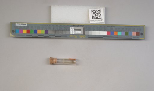 NSF ADBC EPICC TCN