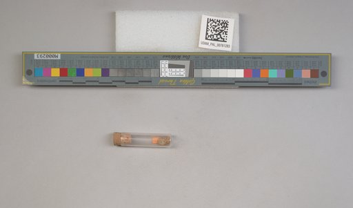 NSF ADBC EPICC TCN