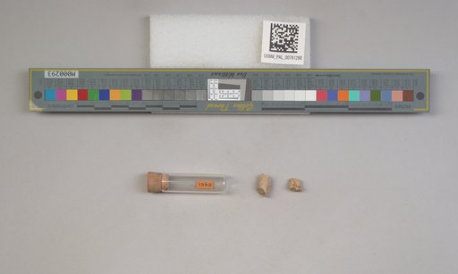 NSF ADBC EPICC TCN