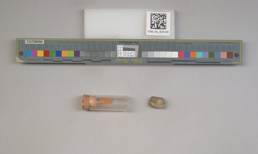 NSF ADBC EPICC TCN