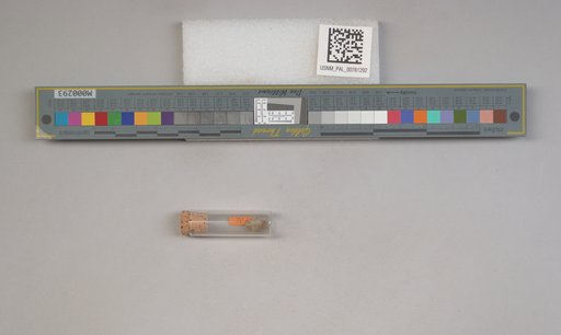 NSF ADBC EPICC TCN
