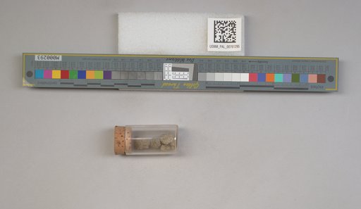 NSF ADBC EPICC TCN