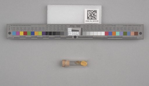 NSF ADBC EPICC TCN