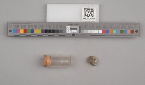 NSF ADBC EPICC TCN