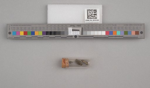 NSF ADBC EPICC TCN