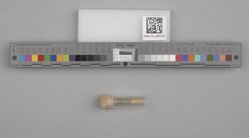 NSF ADBC EPICC TCN
