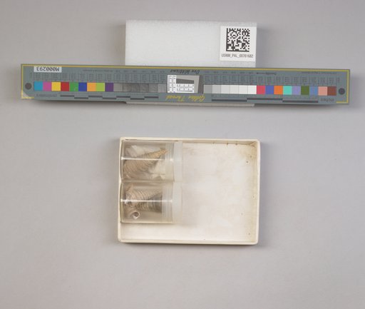 NSF ADBC EPICC TCN