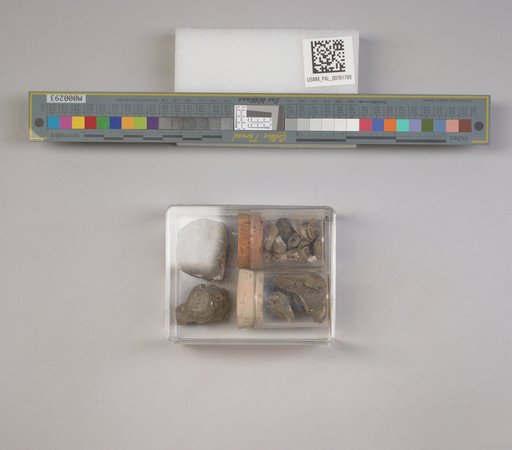 NSF ADBC EPICC TCN