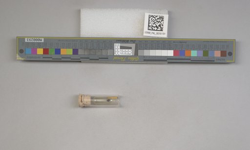 NSF ADBC EPICC TCN