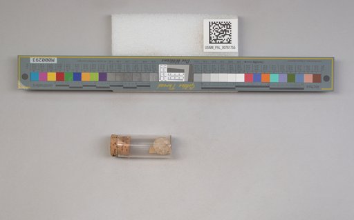 NSF ADBC EPICC TCN