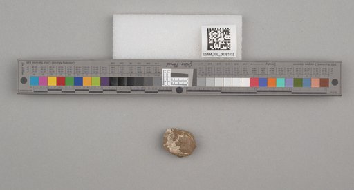NSF ADBC EPICC TCN