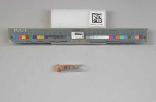 NSF ADBC EPICC TCN
