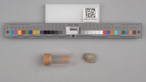 NSF ADBC EPICC TCN