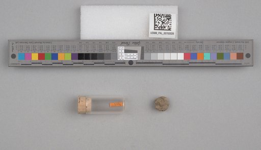 NSF ADBC EPICC TCN