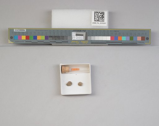 NSF ADBC EPICC TCN
