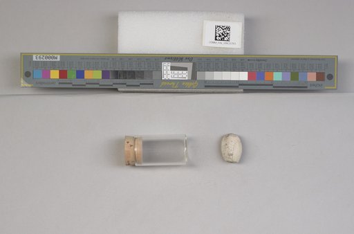 NSF ADBC EPICC TCN
