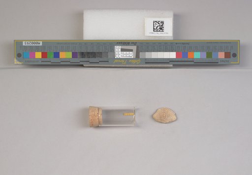 NSF ADBC EPICC TCN