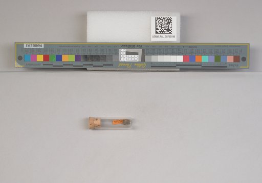 NSF ADBC EPICC TCN