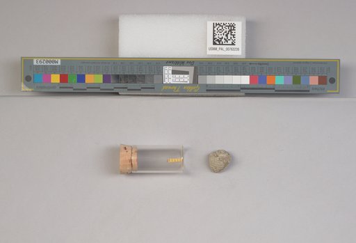 NSF ADBC EPICC TCN