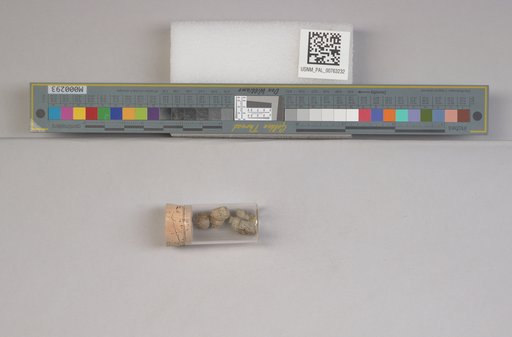 NSF ADBC EPICC TCN