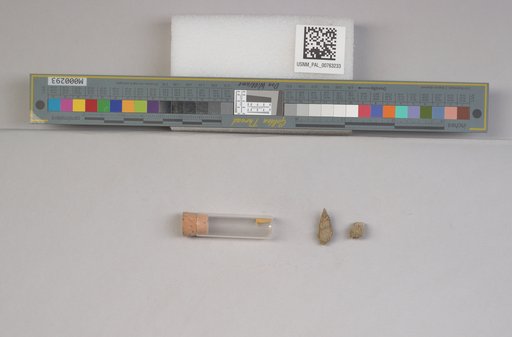 NSF ADBC EPICC TCN
