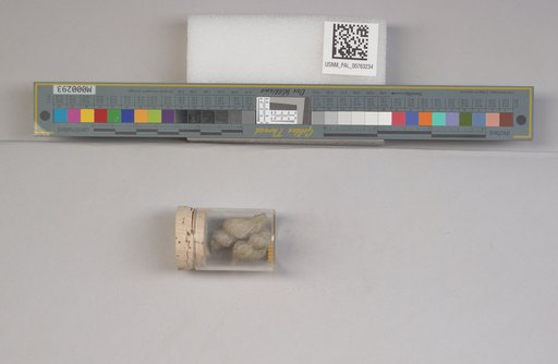 NSF ADBC EPICC TCN