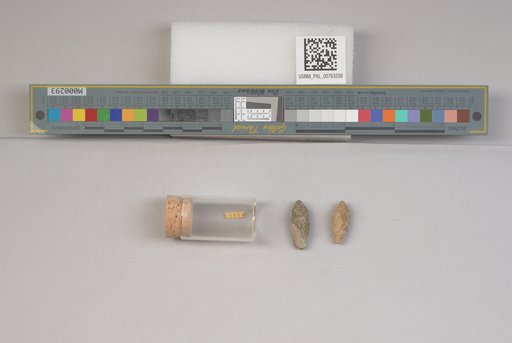 NSF ADBC EPICC TCN