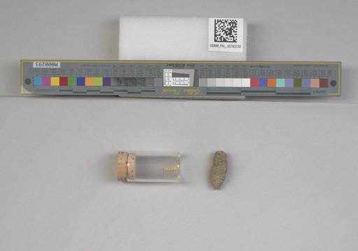 NSF ADBC EPICC TCN