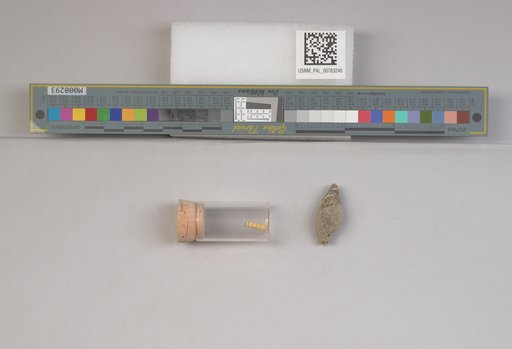 NSF ADBC EPICC TCN