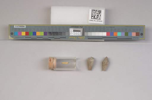 NSF ADBC EPICC TCN