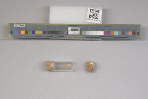 NSF ADBC EPICC TCN