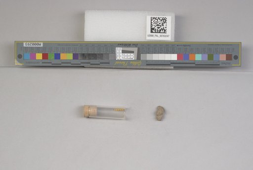 NSF ADBC EPICC TCN