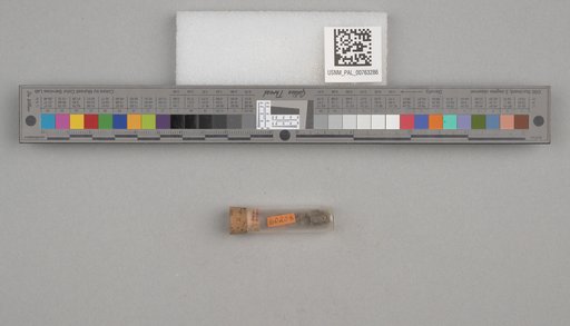 NSF ADBC EPICC TCN