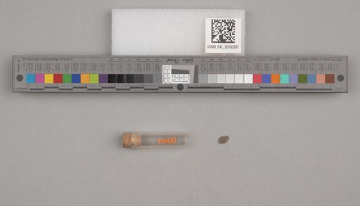 NSF ADBC EPICC TCN