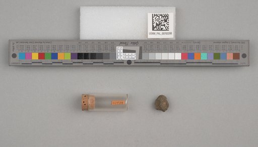 NSF ADBC EPICC TCN