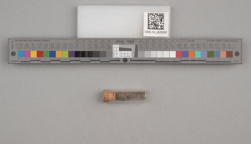NSF ADBC EPICC TCN