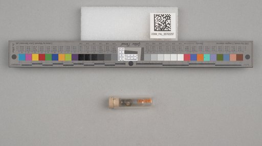 NSF ADBC EPICC TCN