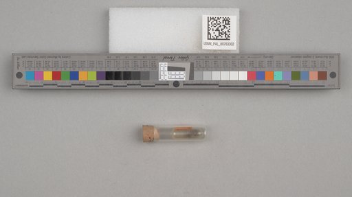 NSF ADBC EPICC TCN