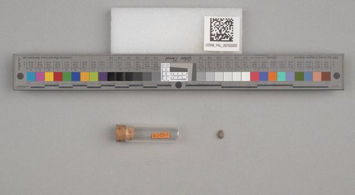 NSF ADBC EPICC TCN