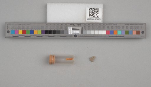 NSF ADBC EPICC TCN