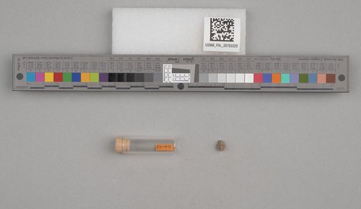 NSF ADBC EPICC TCN