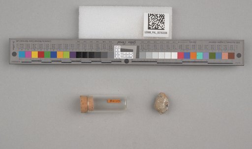 NSF ADBC EPICC TCN