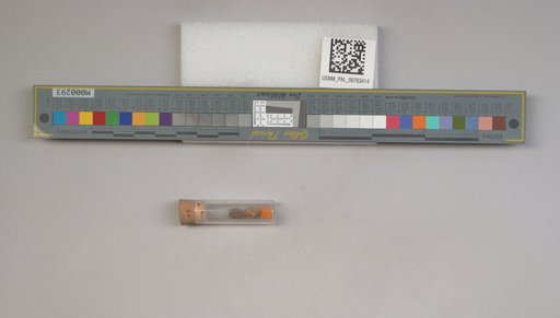 NSF ADBC EPICC TCN