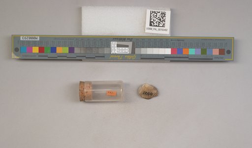 NSF ADBC EPICC TCN
