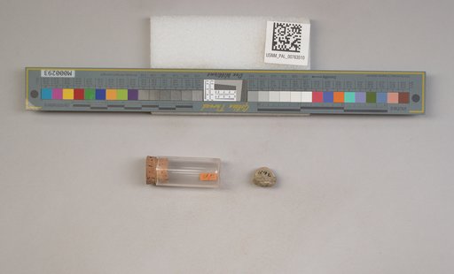 NSF ADBC EPICC TCN